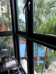 Tanglin View (D3), Condominium #588035311